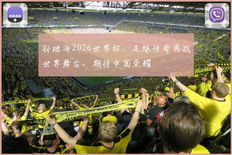 孙继海2026世界杯，足球传奇再战世界舞台，期待中国荣耀