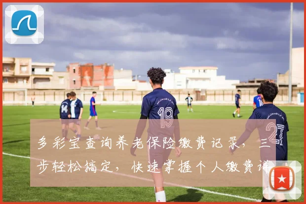多彩宝查询养老保险缴费记录，三步轻松搞定，快速掌握个人缴费详情，一目了然。