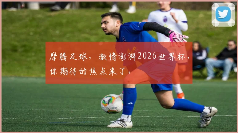 摩腾足球，激情澎湃2026世界杯，你期待的焦点来了，